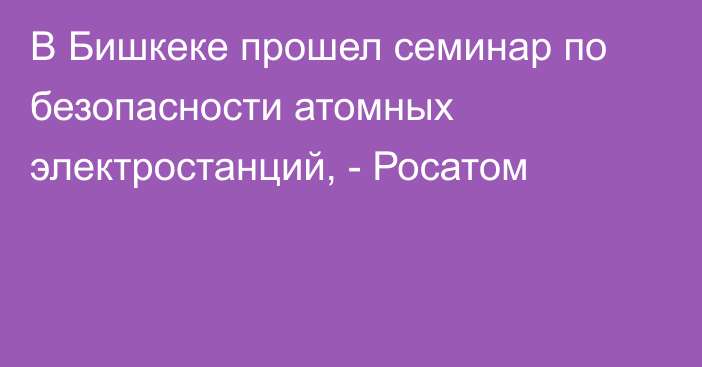 В Бишкеке прошел семинар по безопасности атомных электростанций, - Росатом