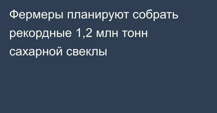 Фермеры планируют собрать рекордные 1,2 млн тонн сахарной свеклы