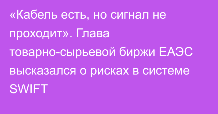 «Кабель есть, но сигнал не проходит». Глава товарно-сырьевой биржи ЕАЭС высказался о рисках в системе SWIFT