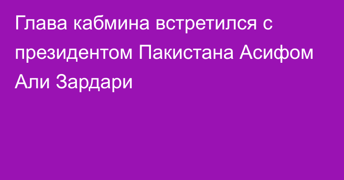 Глава кабмина встретился с президентом Пакистана Асифом Али Зардари