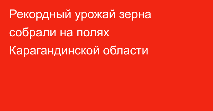 Рекордный урожай зерна собрали на полях Карагандинской области