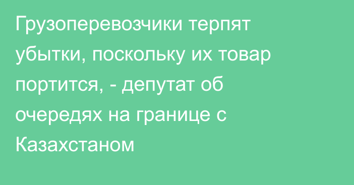 Грузоперевозчики терпят убытки, поскольку их товар портится, - депутат об очередях на границе с Казахстаном