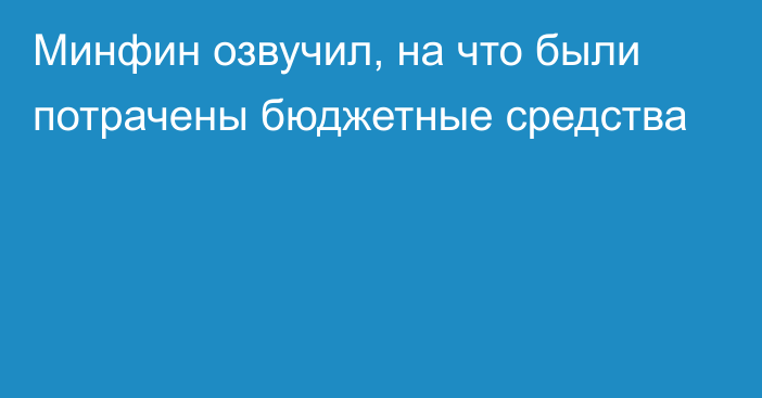 Минфин озвучил, на что были потрачены бюджетные средства