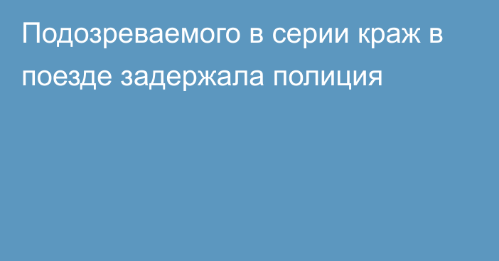 Подозреваемого в серии краж в поезде задержала полиция