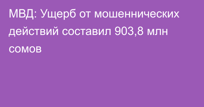 МВД: Ущерб от мошеннических действий составил 903,8 млн сомов