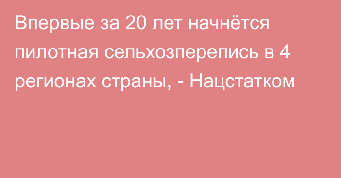 Впервые за 20 лет начнётся пилотная сельхозперепись в 4 регионах страны, - Нацстатком