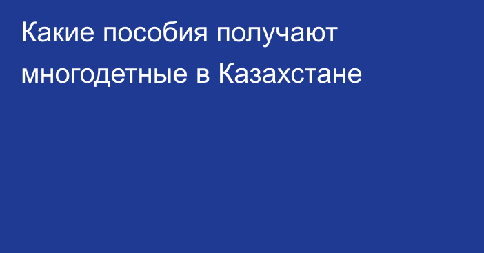 Какие пособия получают многодетные в Казахстане