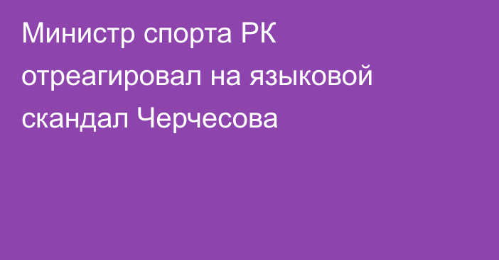 Министр спорта РК отреагировал на языковой скандал Черчесова