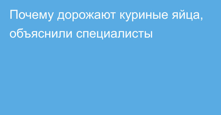 Почему дорожают куриные яйца, объяснили специалисты