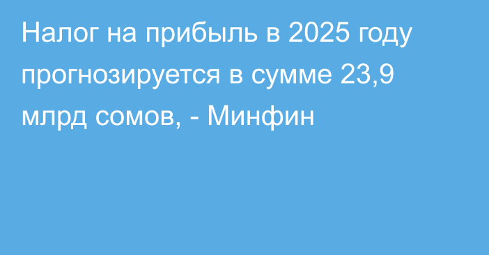 Налог на прибыль в 2025 году прогнозируется в сумме 23,9 млрд сомов, - Минфин