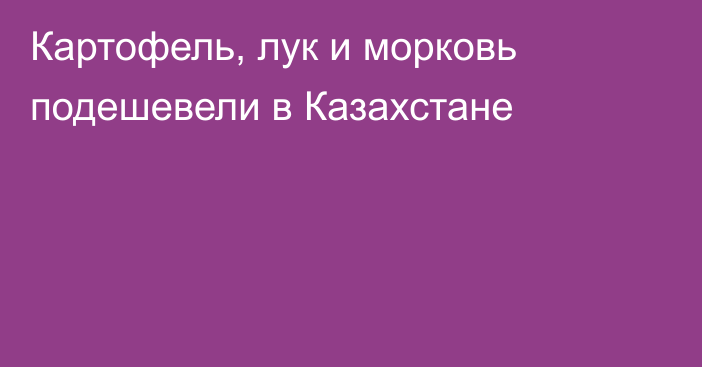 Картофель, лук и морковь подешевели в Казахстане