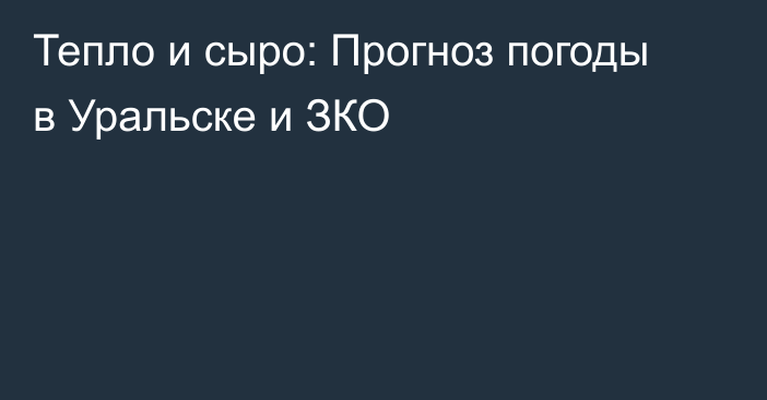 Тепло и сыро: Прогноз погоды в Уральске и ЗКО