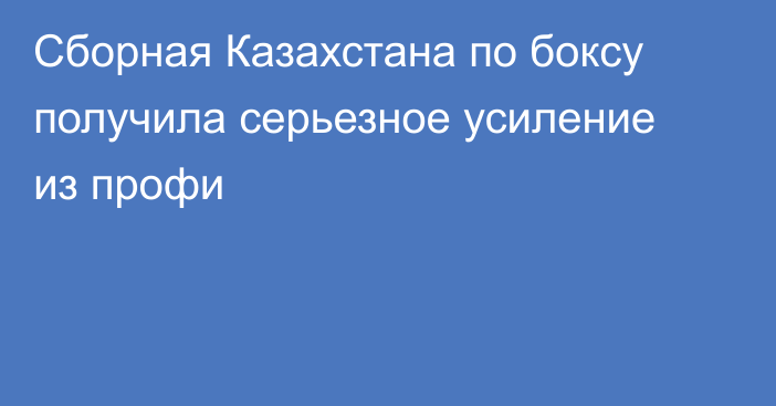 Сборная Казахстана по боксу получила серьезное усиление из профи