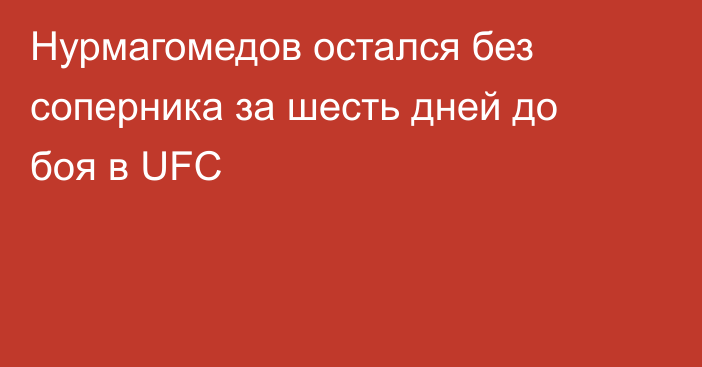 Нурмагомедов остался без соперника за шесть дней до боя в UFC