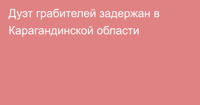 Дуэт грабителей задержан в Карагандинской области