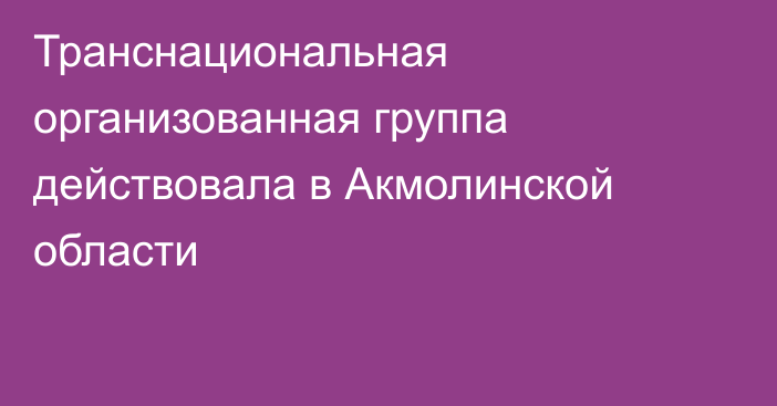 Транснациональная организованная группа действовала в Акмолинской области