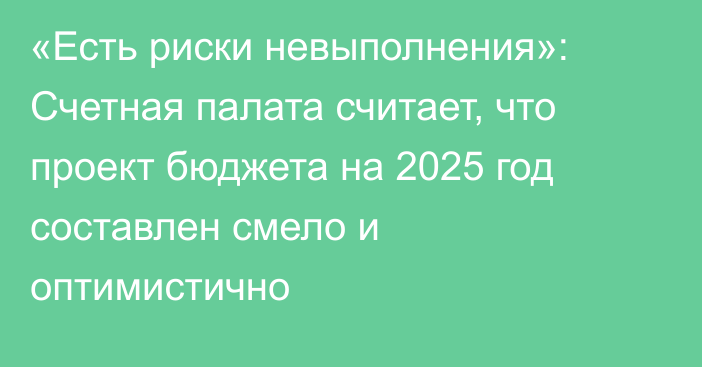 «Есть риски невыполнения»: Счетная палата считает, что проект бюджета на 2025 год составлен смело и оптимистично