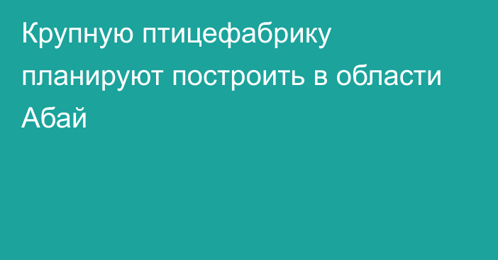 Крупную птицефабрику планируют построить в области Абай