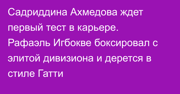 Садриддина Ахмедова ждет первый тест в карьере. Рафаэль Игбокве боксировал с элитой дивизиона и дерется в стиле Гатти