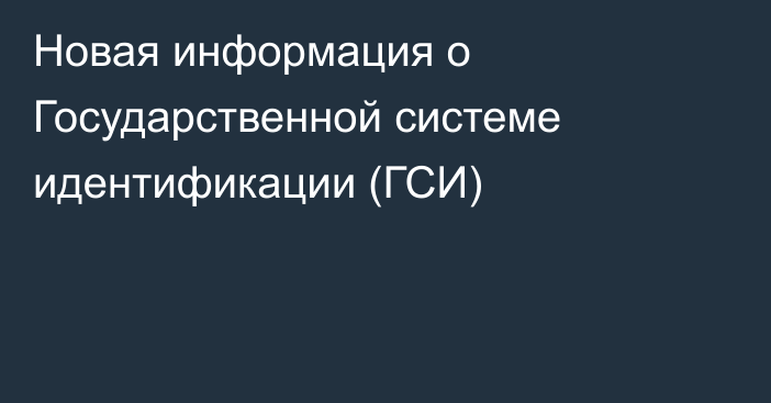 Новая информация о Государственной системе идентификации (ГСИ)