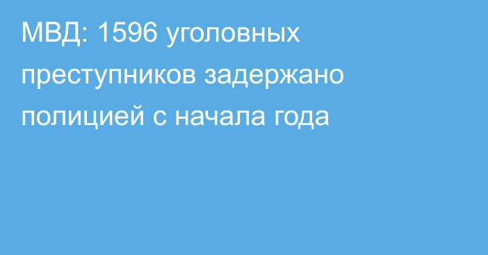 МВД: 1596 уголовных преступников задержано полицией с начала года