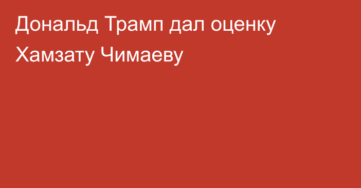 Дональд Трамп дал оценку Хамзату Чимаеву