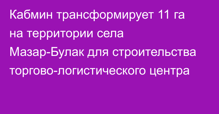 Кабмин трансформирует 11 га на территории села Мазар-Булак для строительства торгово-логистического центра