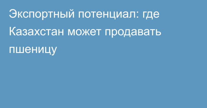 Экспортный потенциал: где Казахстан может продавать пшеницу