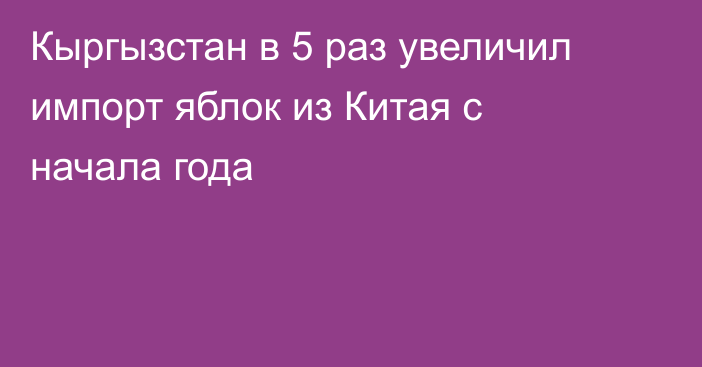 Кыргызстан в 5 раз увеличил импорт яблок из Китая с начала года