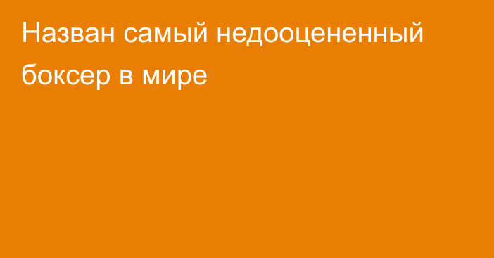 Назван самый недооцененный боксер в мире