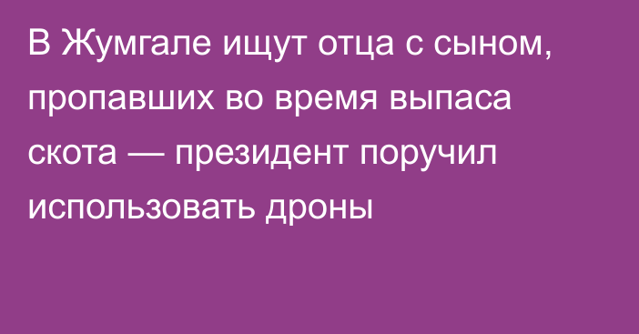 В Жумгале ищут отца с сыном, пропавших во время выпаса скота — президент поручил использовать дроны