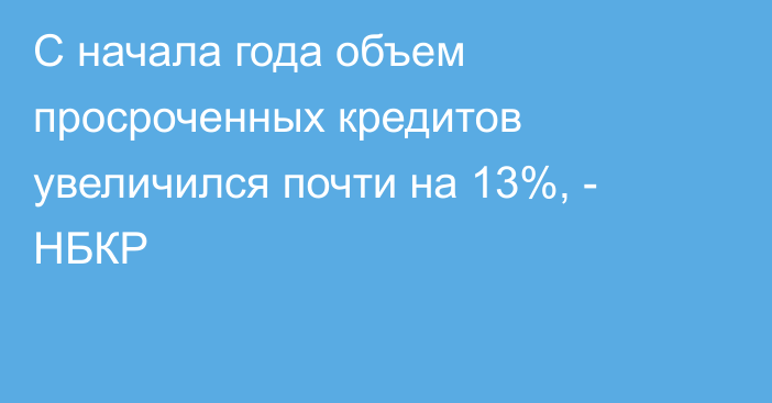 С начала года объем просроченных кредитов увеличился почти на 13%, - НБКР