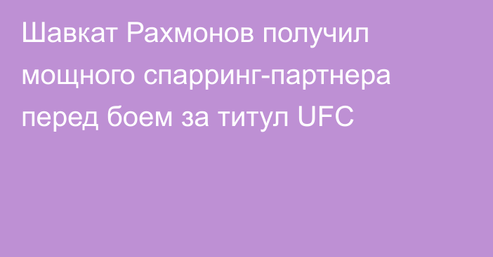 Шавкат Рахмонов получил мощного спарринг-партнера перед боем за титул UFC