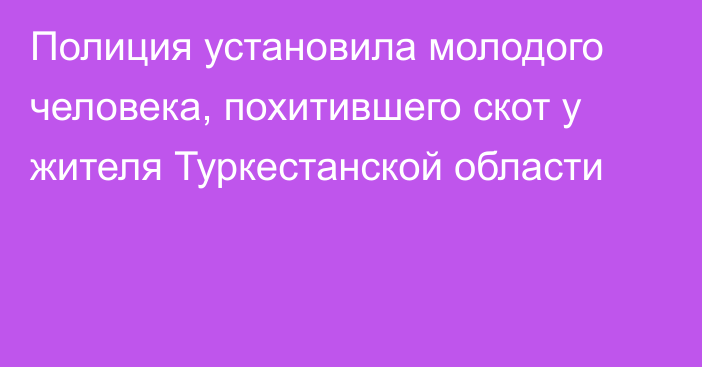 Полиция установила молодого человека, похитившего скот у жителя Туркестанской области