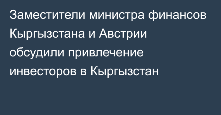 Заместители министра финансов Кыргызстана и Австрии обсудили привлечение инвесторов в Кыргызстан