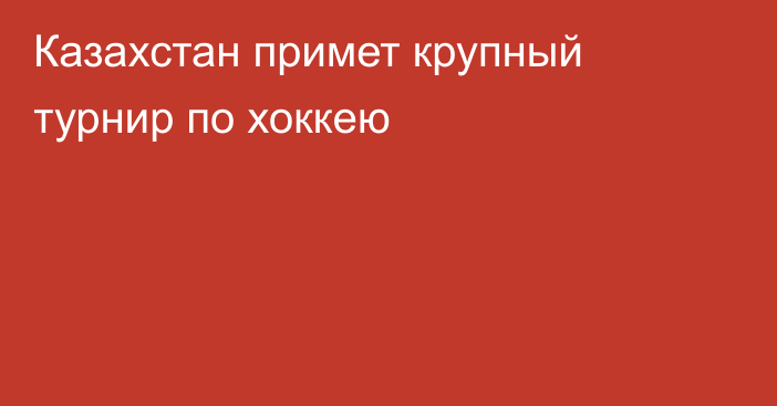 Казахстан примет крупный турнир по хоккею