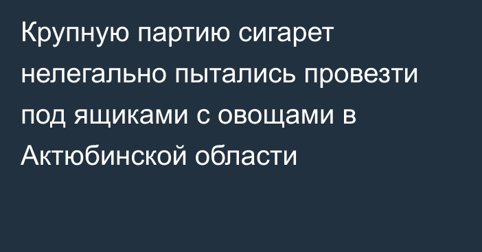 Крупную партию сигарет нелегально пытались провезти под ящиками с овощами в Актюбинской области