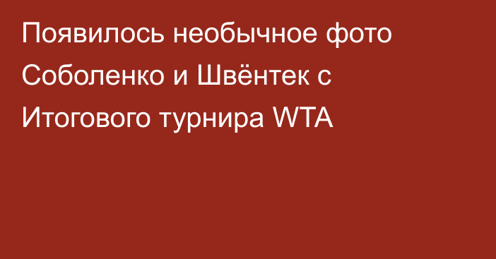 Появилось необычное фото Соболенко и Швёнтек с Итогового турнира WTA