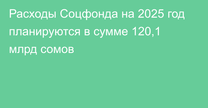 Расходы Соцфонда на 2025 год планируются в сумме 120,1 млрд сомов