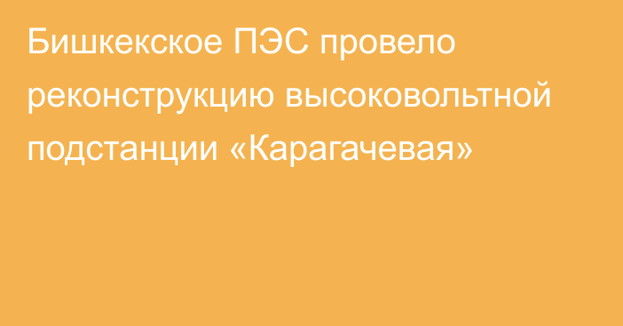 Бишкекское ПЭС провело реконструкцию высоковольтной подстанции «Карагачевая»