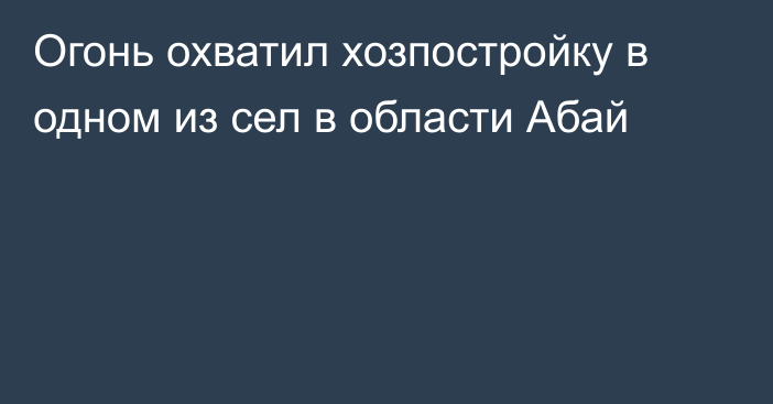 Огонь охватил хозпостройку в одном из сел в области Абай