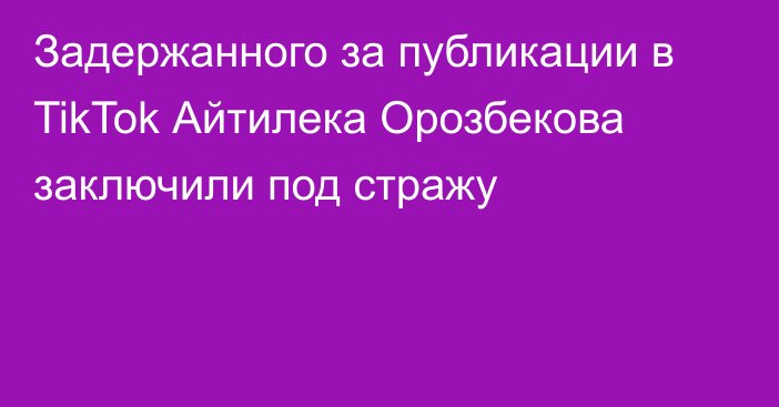 Задержанного за публикации в TikTok Айтилека Орозбекова заключили под стражу