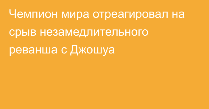 Чемпион мира отреагировал на срыв незамедлительного реванша с Джошуа