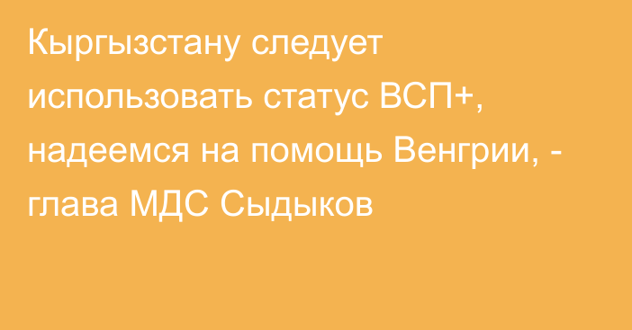 Кыргызстану следует использовать статус ВСП+, надеемся на помощь Венгрии, - глава МДС Сыдыков