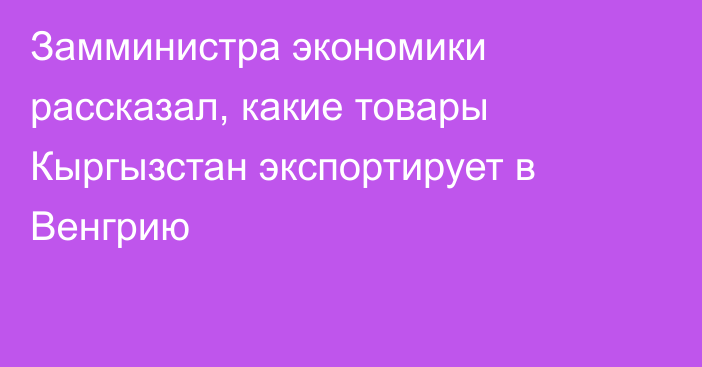 Замминистра экономики рассказал, какие товары Кыргызстан экспортирует в Венгрию