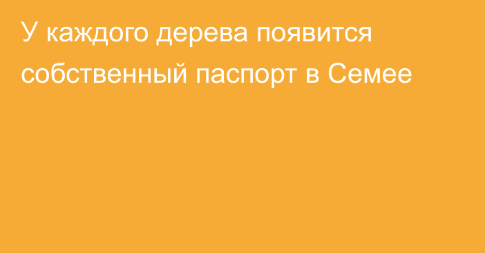 У каждого дерева появится собственный паспорт в Семее