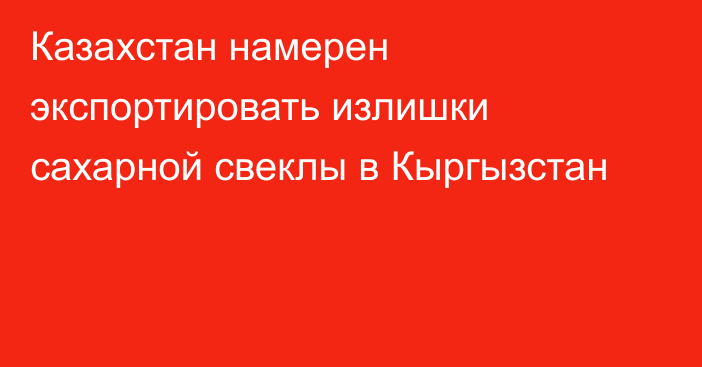 Казахстан намерен экспортировать излишки сахарной свеклы в Кыргызстан