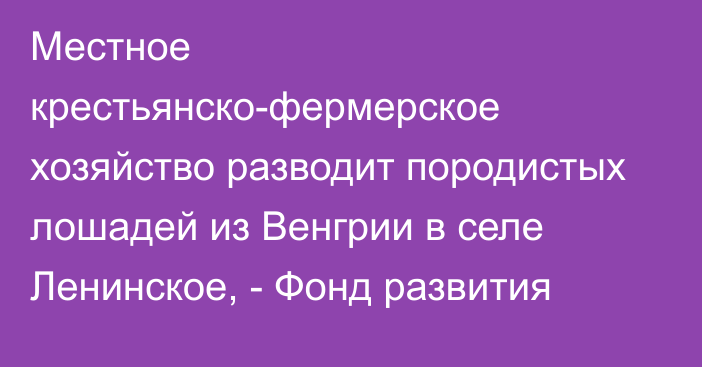 Местное крестьянско-фермерское хозяйство разводит породистых лошадей из Венгрии в селе Ленинское, - Фонд развития