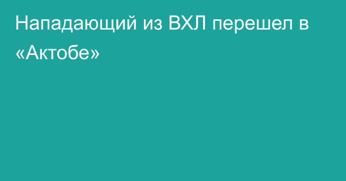 Нападающий из ВХЛ перешел в «Актобе»