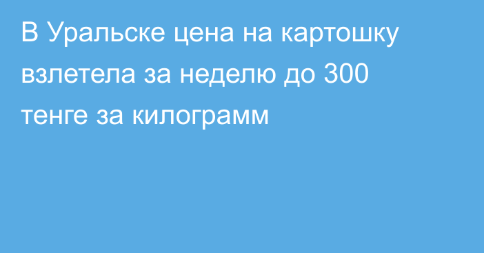 В Уральске цена на картошку взлетела за неделю до 300 тенге за килограмм